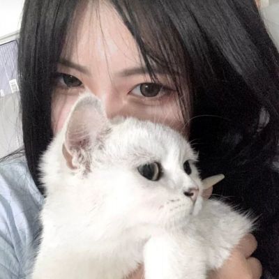 贼人还我女儿下载