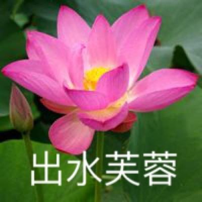 百鬼夜行bt版下载